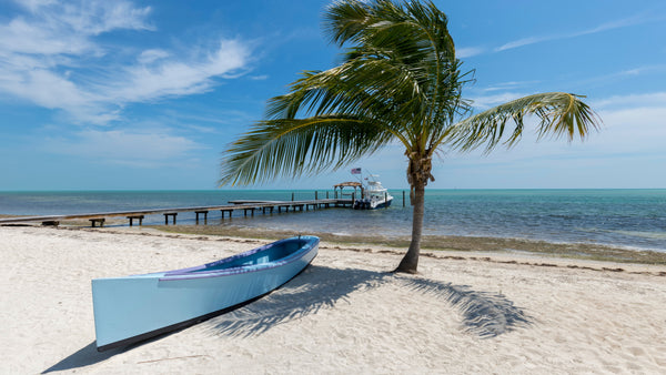 Find out the 5 Best Places to visit in March in the USA 2022