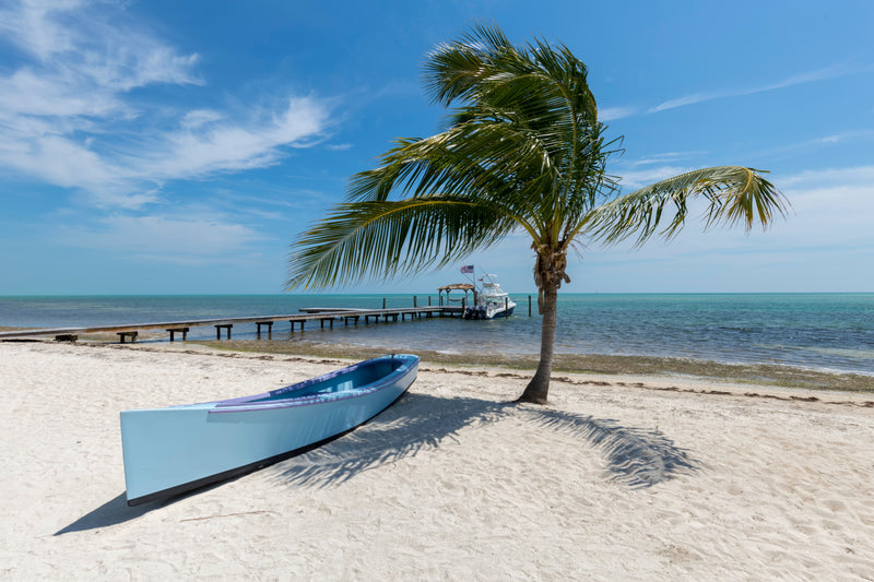 Find out the 5 Best Places to visit in March in the USA 2022