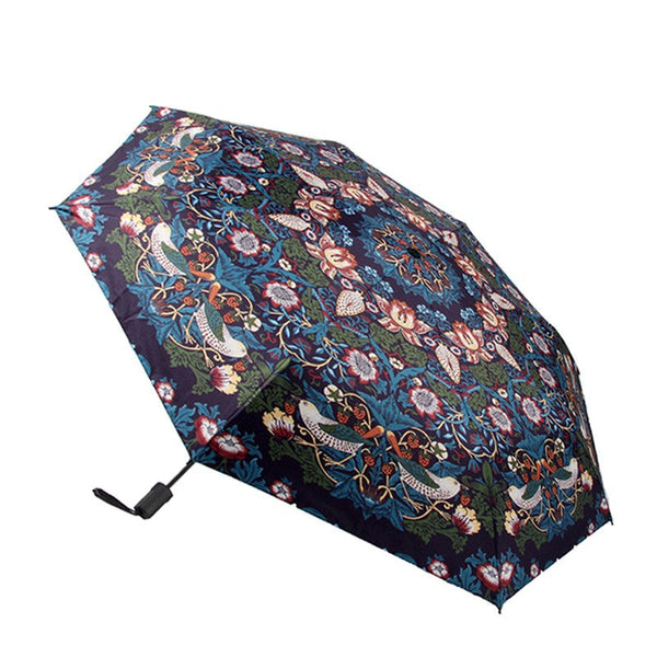henney-bear-umbrella
