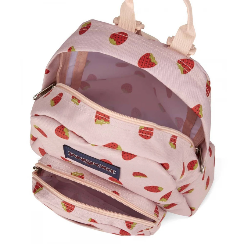 cutest middle school girls backpack jansport JanSport Half Pint Mini Backpack